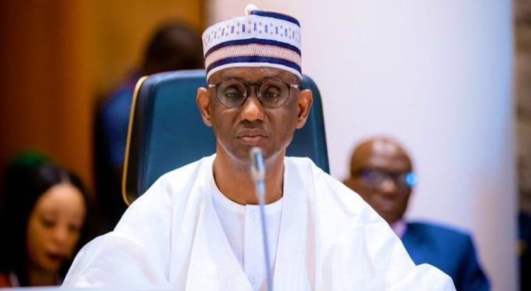 NSA Orders Probe as NCAA Grounds Private Jet Over Unauthorised Road Landing in Delta