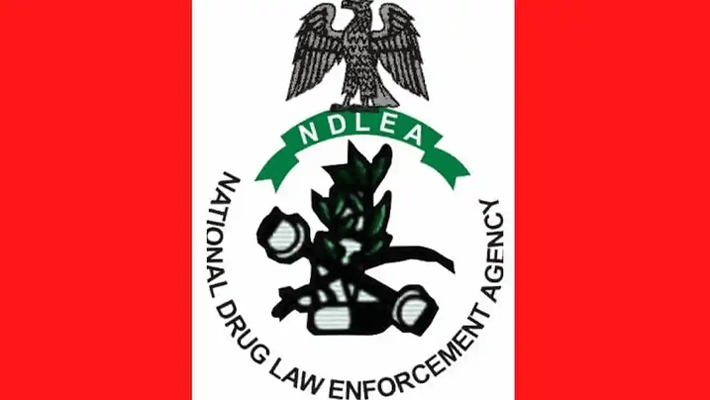 NDLEA Arrests 140 Suspects, Seizes 816.506kg of Drugs in Kaduna