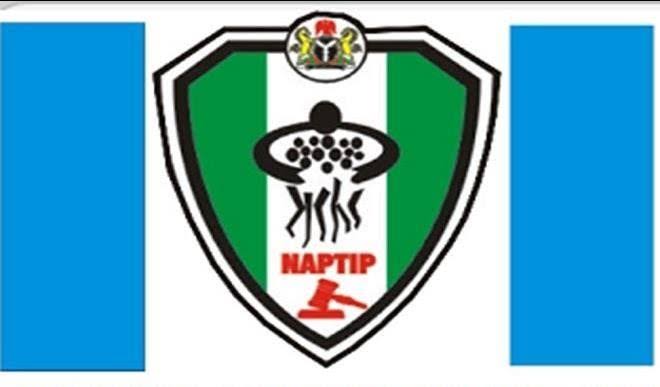 NAPTIP Busts ‘Cryptic Pregnancy’ Baby Trafficking Plot in Cross River