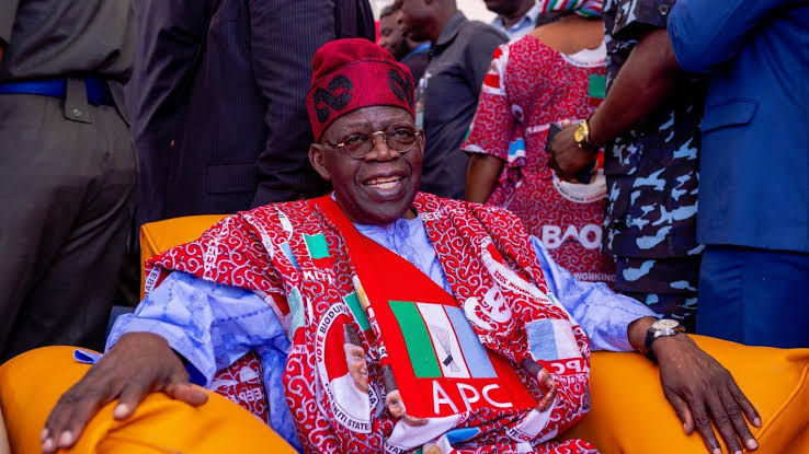 Tinubu’s Door-to-door Movement Suspends Campaign Over Plane Crash