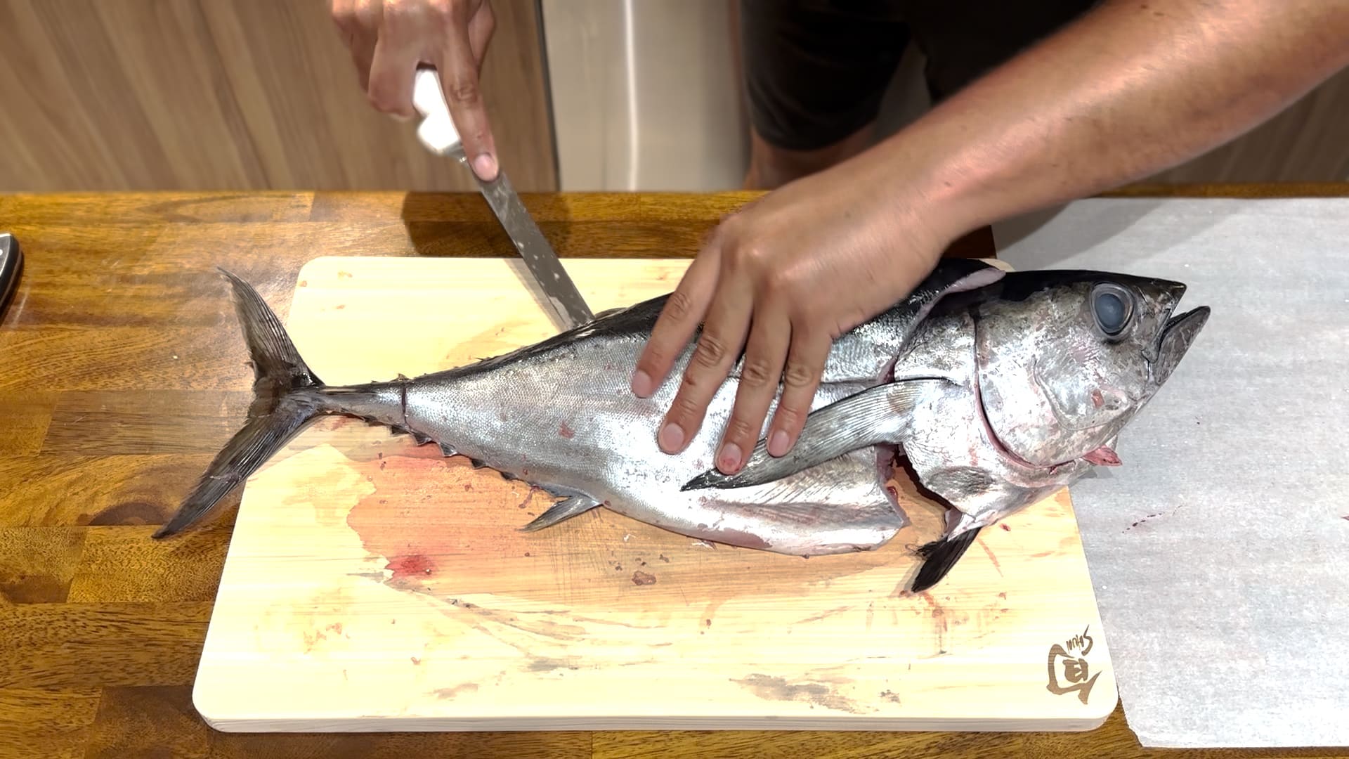 how to fillet a blackfin tuna