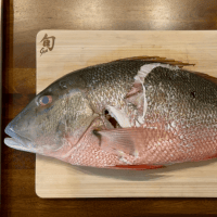 how to fillet a mutton snapper