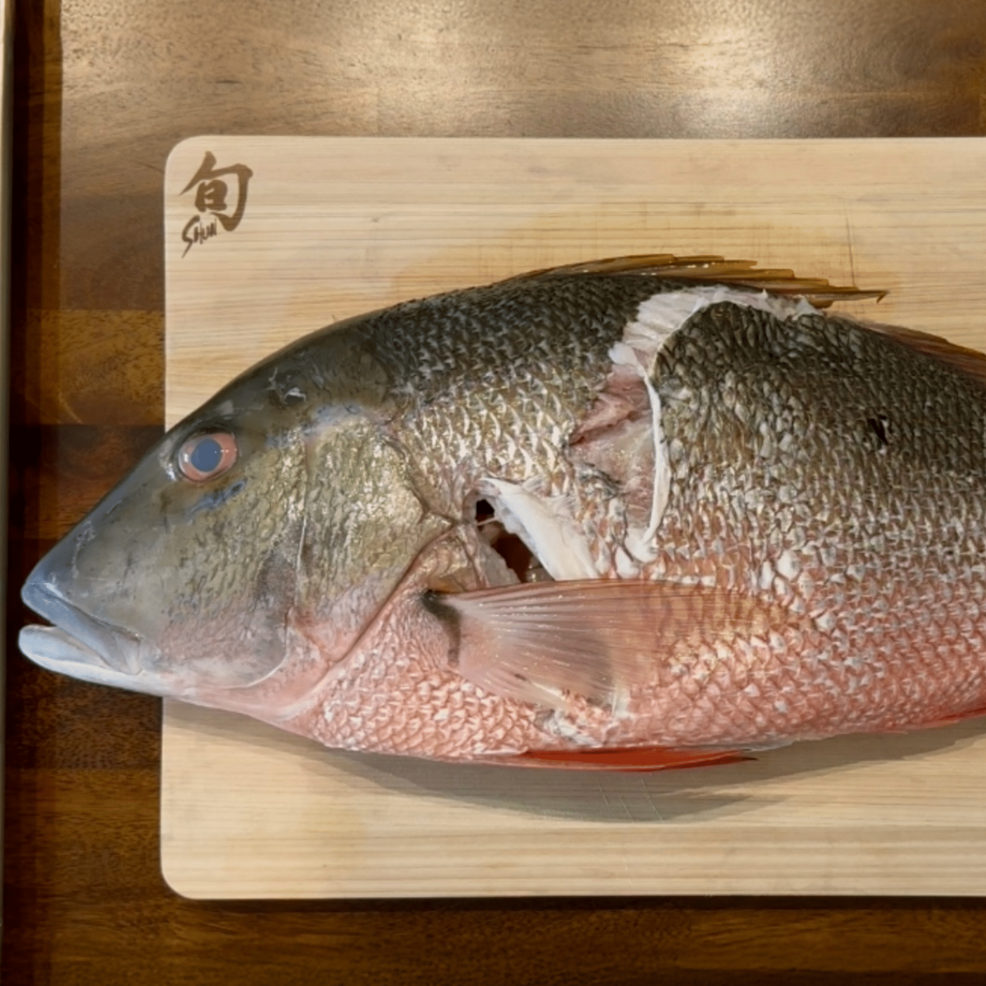how to fillet a mutton snapper