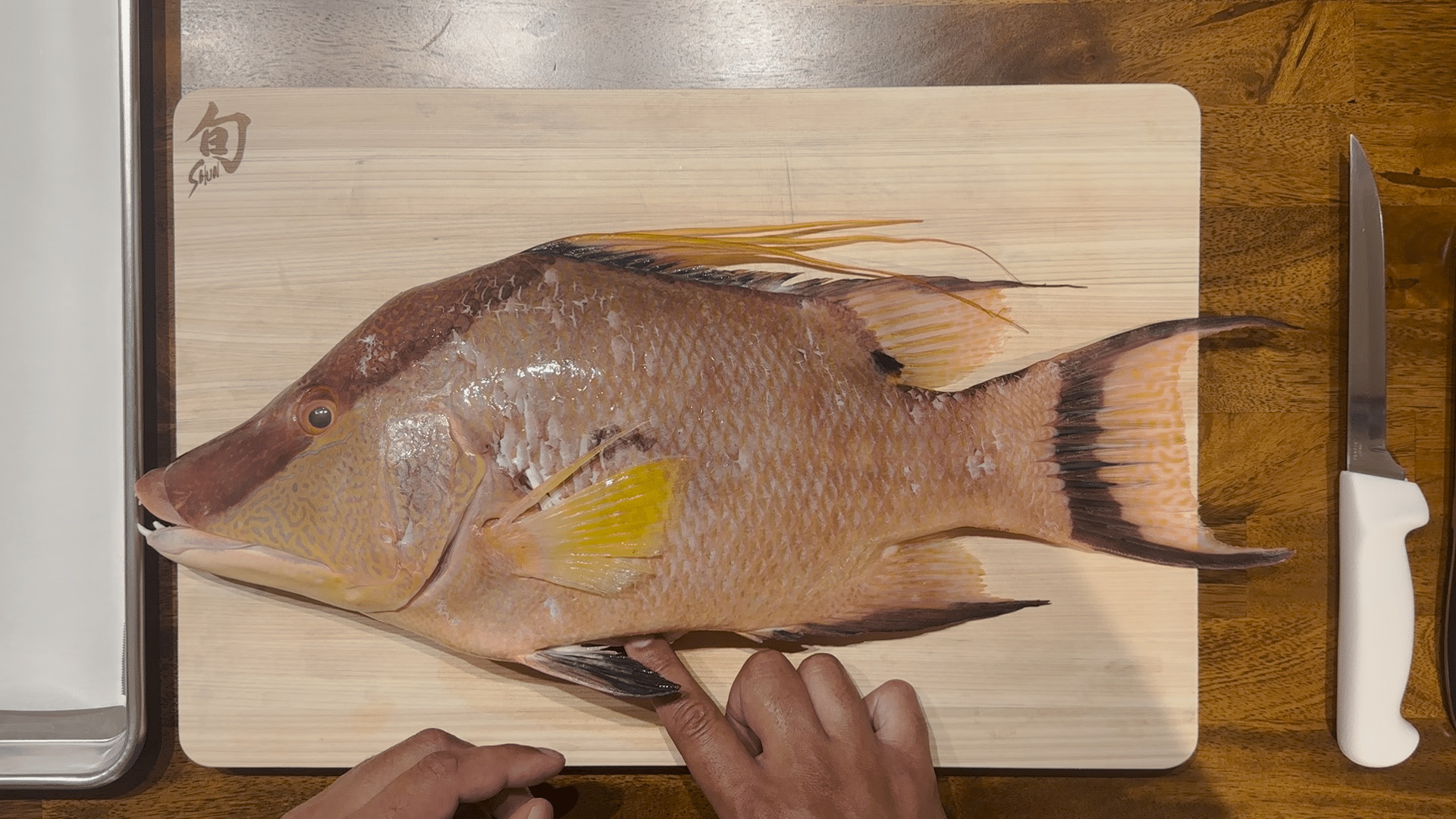 how to fillet a hogfish
