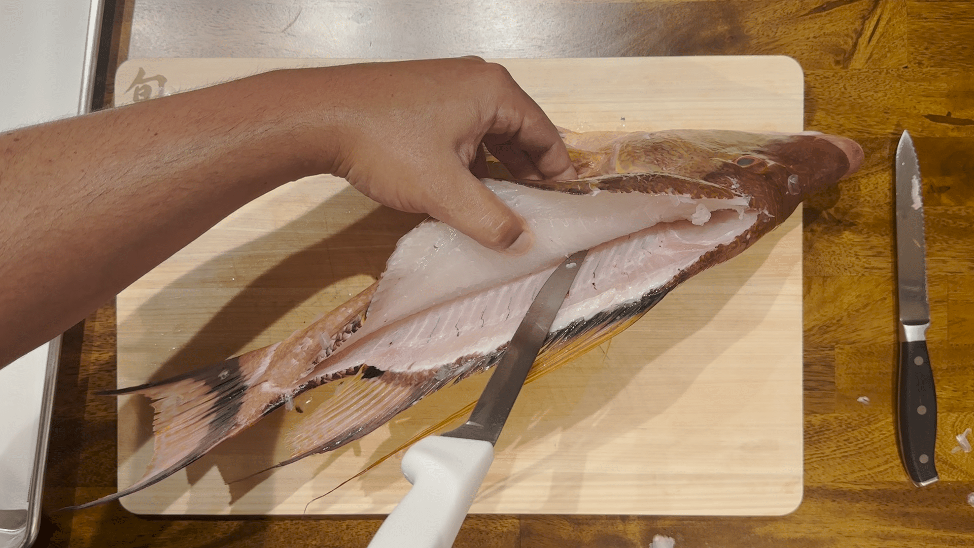 how to fillet a hogfish