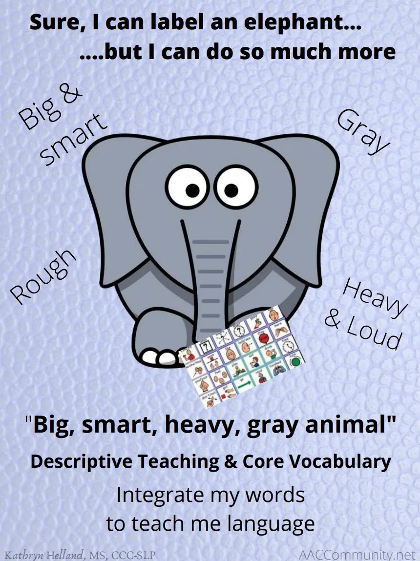 Descriptive Teaching