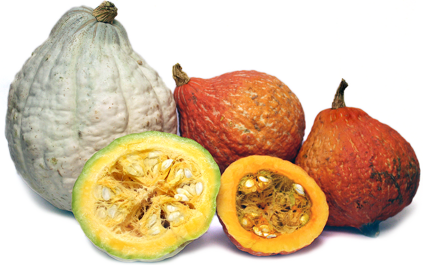 hubbard squash information and facts on hubbard squash recipes south africa