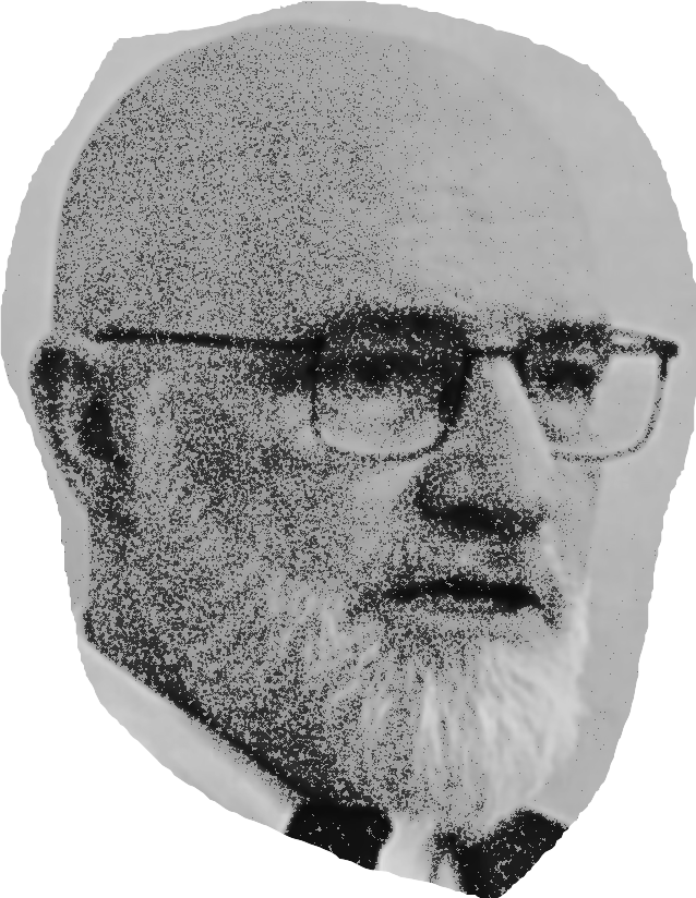 Shahid Bolsen
