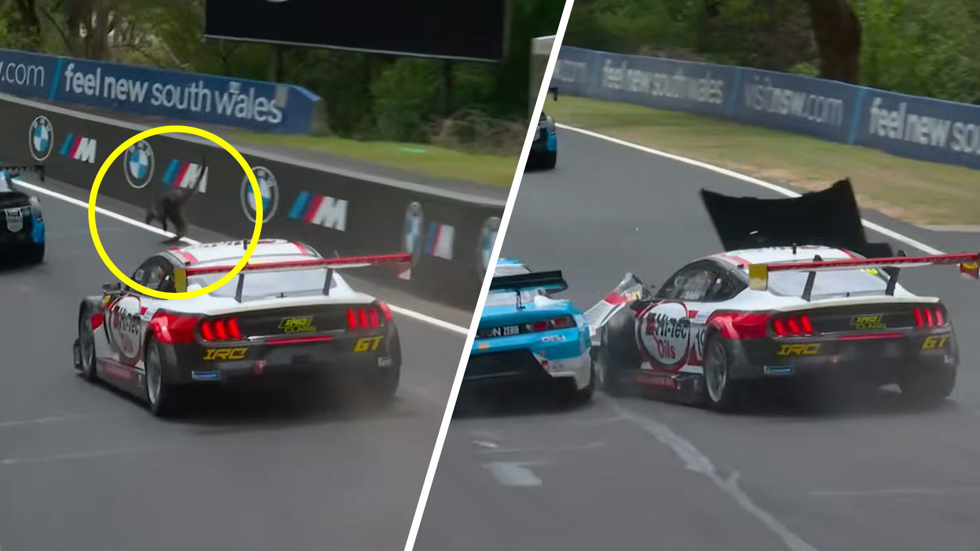 Wildlife on the Track! Wallaby Causes Chaos at Bathurst 12 Hour Race (2026)