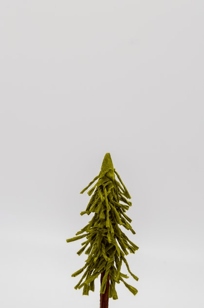 How to Choose a Tree Service Company