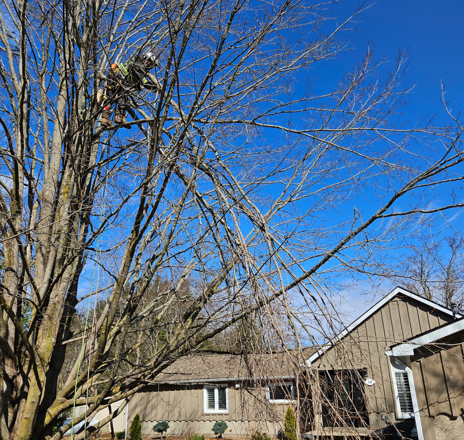 Storm Damage
