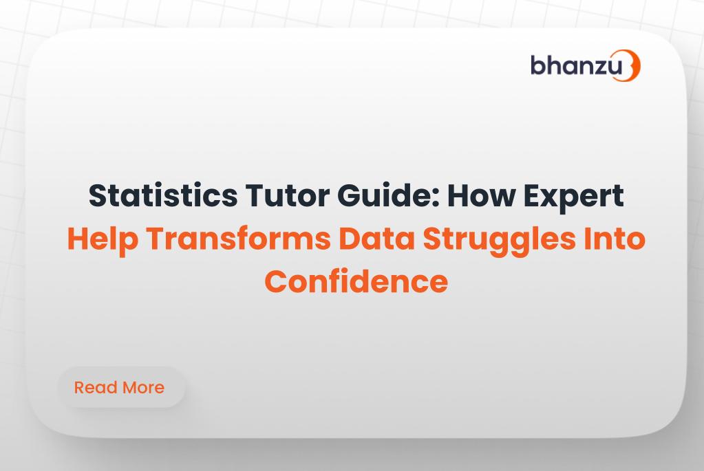 Statistics Tutor Guide How Expert Help Transforms Data Struggles Into Confidence