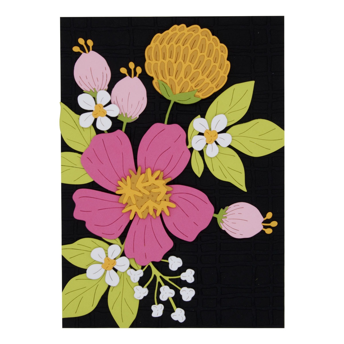 August 2024 Large Die of the Month Preview & Tutorials – Colorful Expressions Blooms