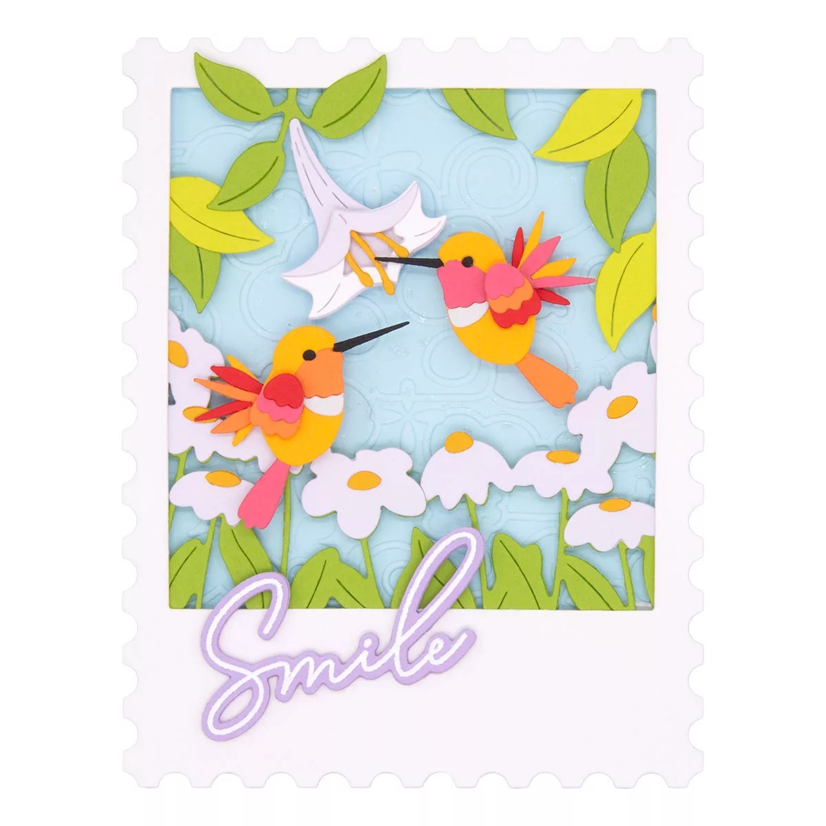 January 2026 Large Die of the Month Preview & Tutorials – Hummingbirds Delight