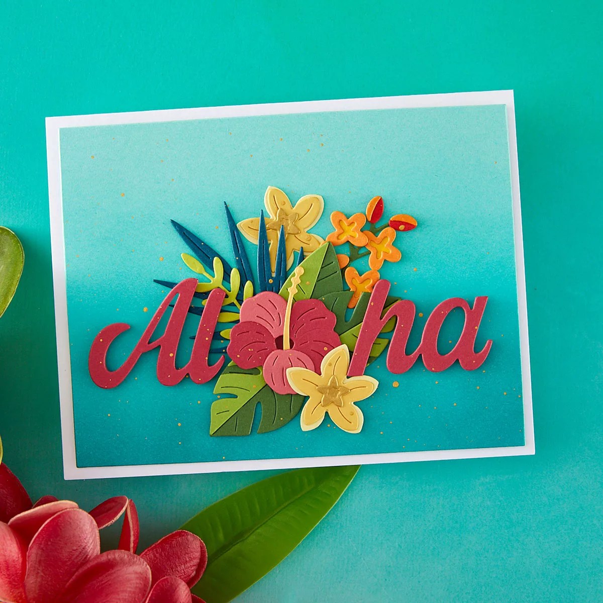 June 2026 Large Die of the Month Preview & Tutorials &ndash; Tropical Blooms