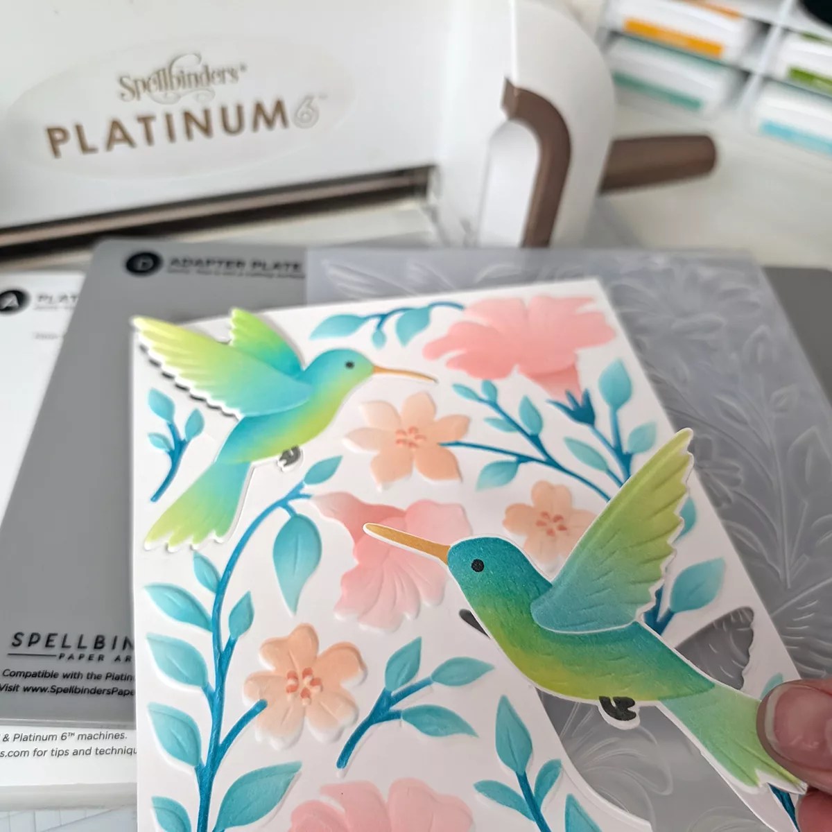 Ink Blending & 3D Embossing Tutorial featuring Hummingbird Garden by Simon Hurley, E3D-181, STNB-019, S1-187