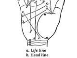 Palm Reading Guide How To Read Your Own Palm Spells8