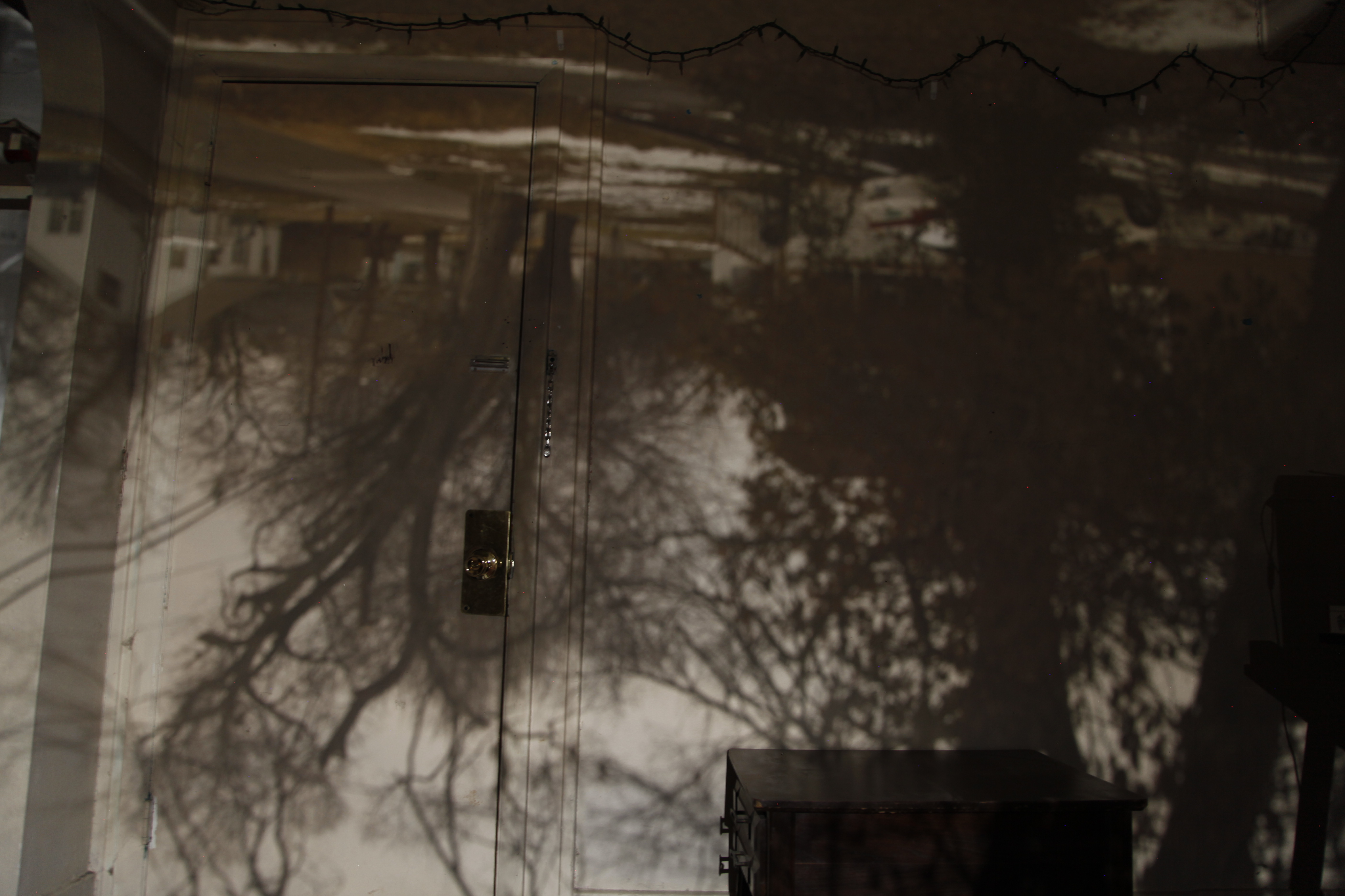Obscura1