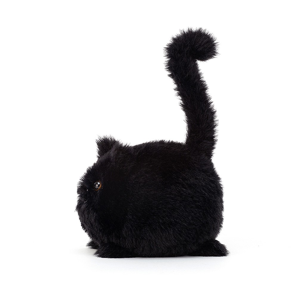 Kitten Caboodle Black | Spencer Thorn