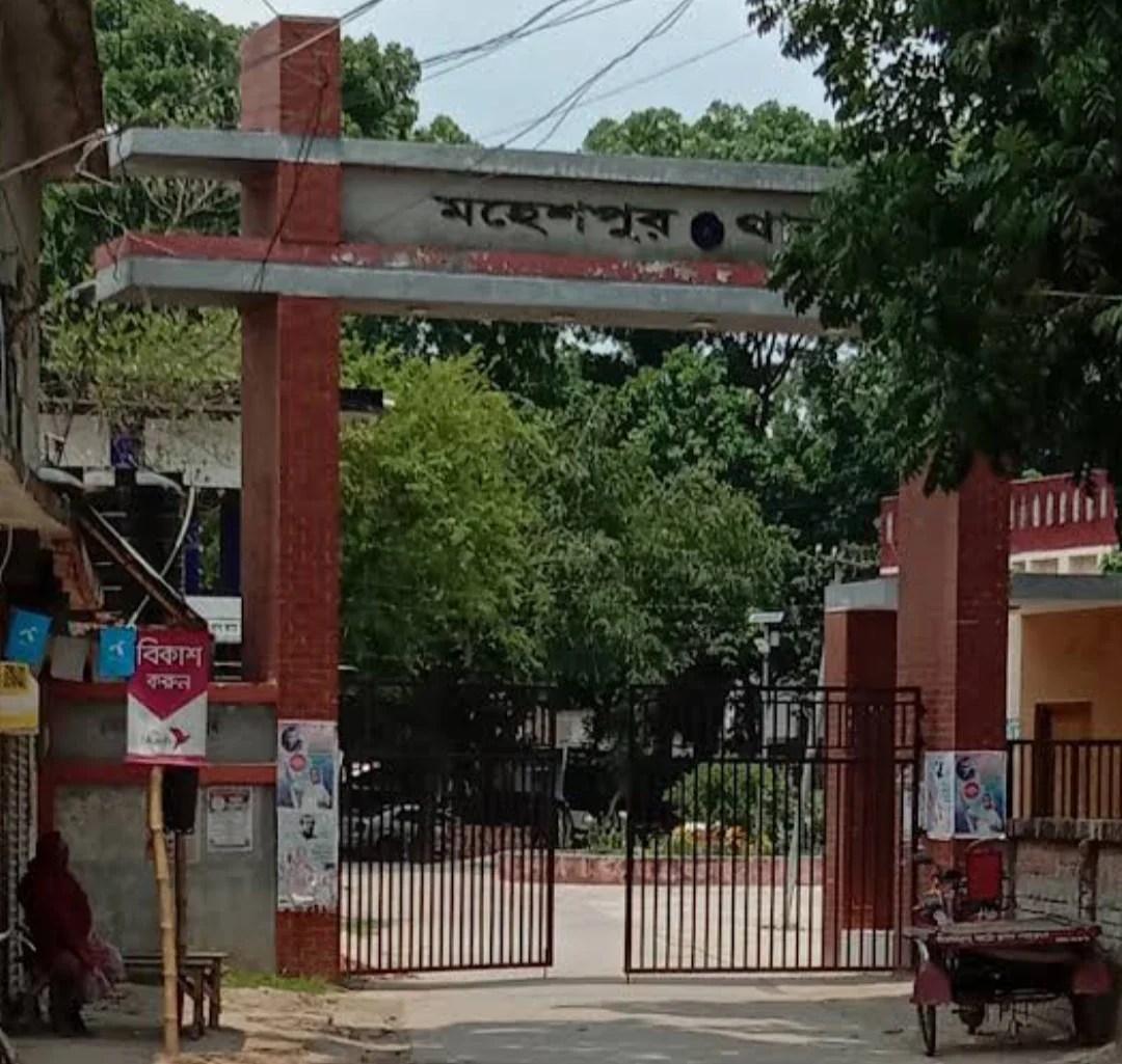 বাওড়ে মাছ ধরতে নেমে বিষধর সাপের কামড়ে পুলিশ সদস্যের মৃত্যু