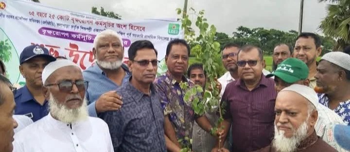 কলাপাড়ায় এলজিইডি’র বৃক্ষরোপণ কর্মসূচি উদ্বোধন করলেন সংসদ সদস্য এবিএম মোশাররফ হোসেন