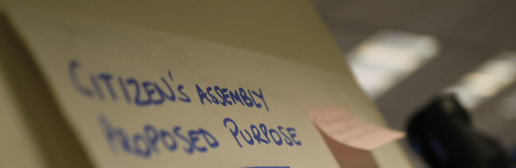 Image of flipchart with the words Citizens' Assembly Proposed Purpose written on it.