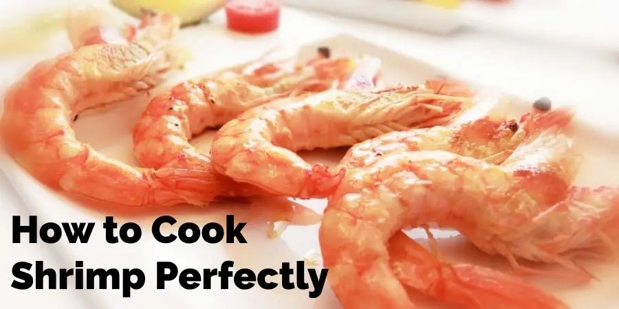 best shrimp salad recipe for summer