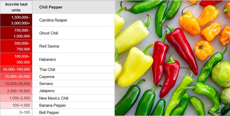 The Scoville Heat Scale - Chilli Pepper List – ChilliBOM