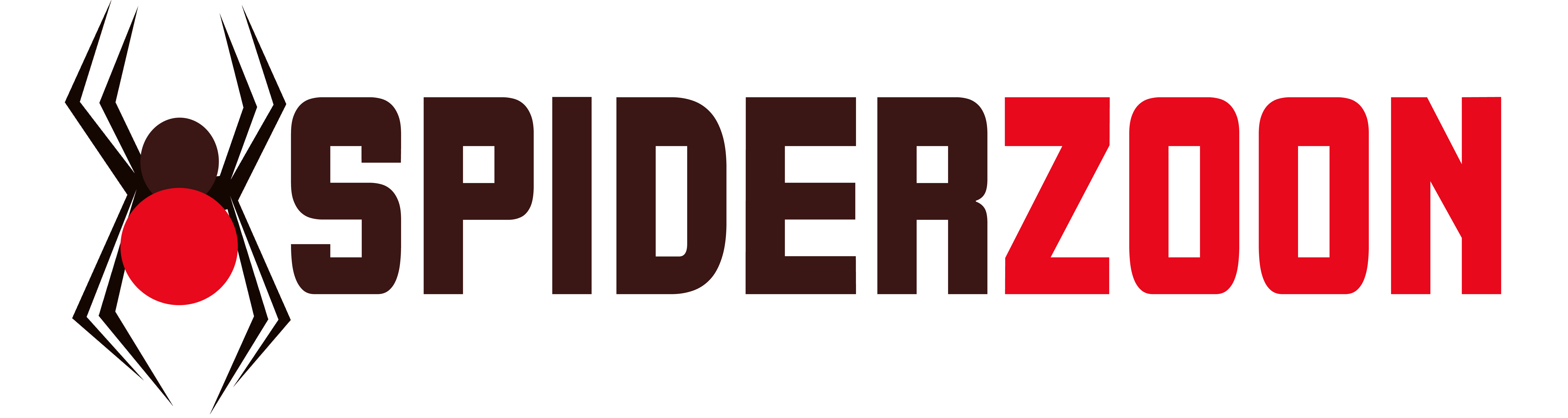 Brown recluse spider locations and behaviors (with images)