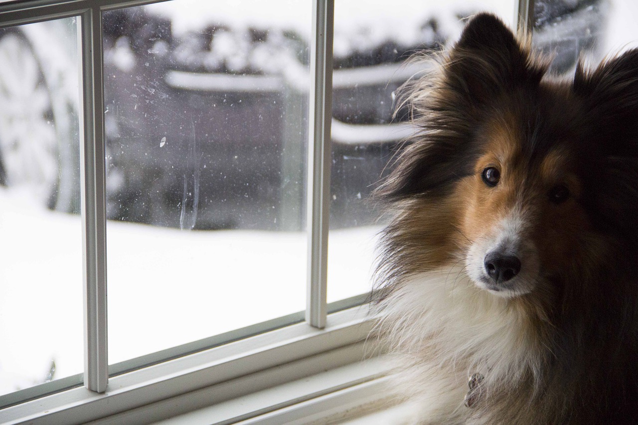 49+ Great Ruhezeiten Wohnung : Mietvertrag mÃ¶bliertes Zimmer | Muster zum Download : Schauen sie in die hausordnung: