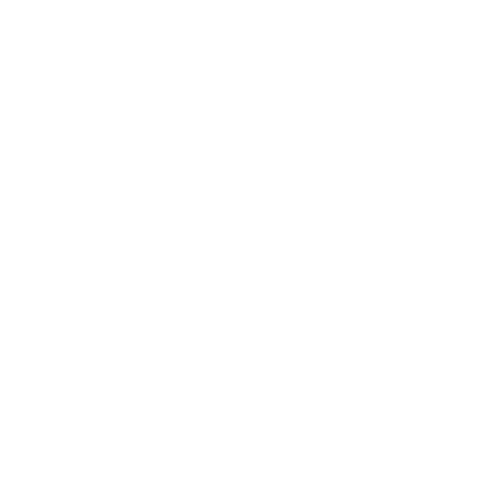 S²