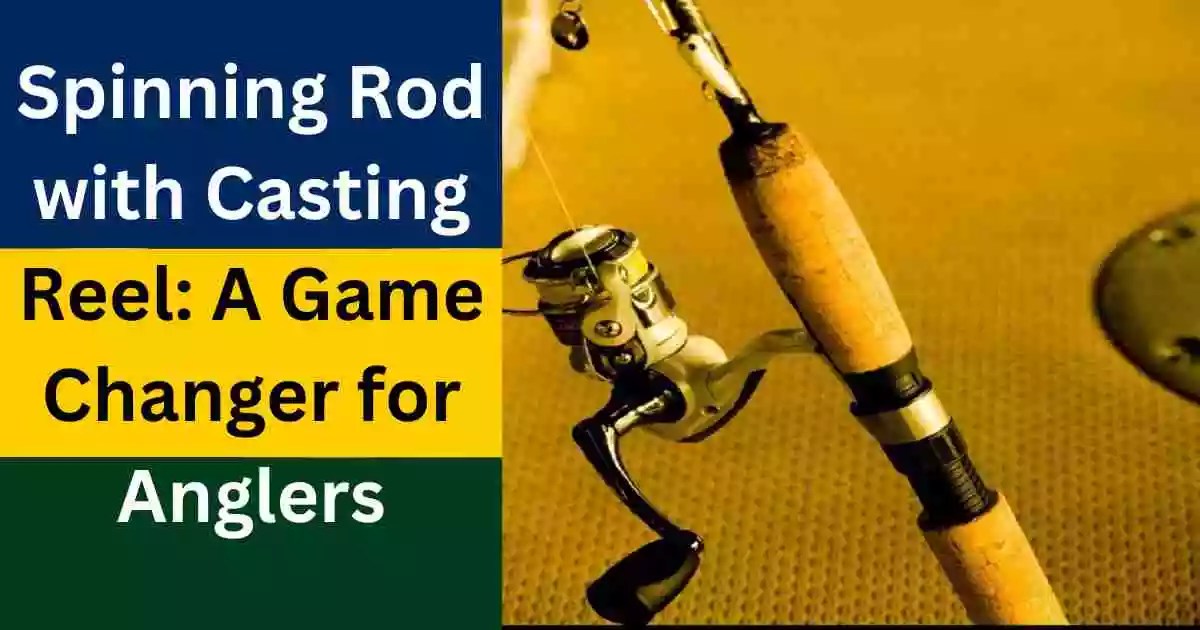Spinning Rod with Casting Reel A Game Changer for Anglers