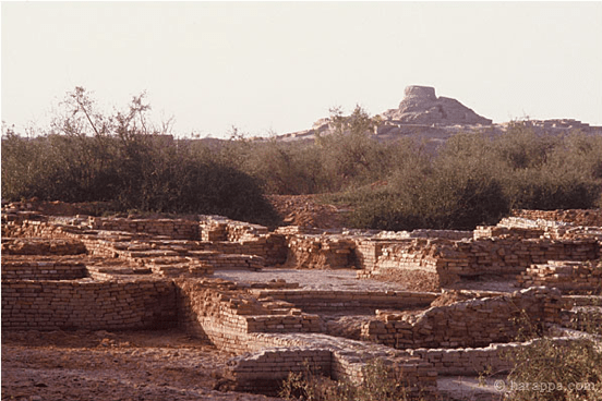 Mohenjo-daro: Lower Town. Source: www.harappa.com