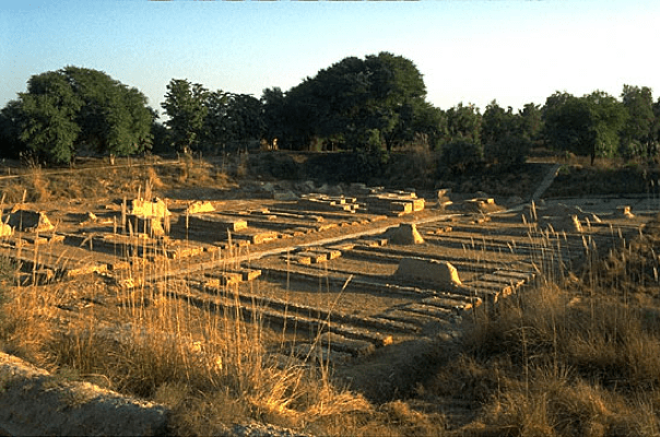 Harappa: ‘Granary’. Source: www.harappa.com