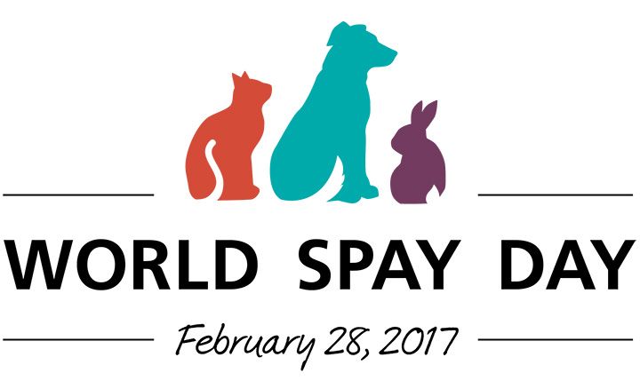 World Spay Day 2017 Humane Society Of Utah World Spay day is coming up February 28 2017. World Spay Day 2017 Humane Society Of Utah The 23rd annual World Spay Day is February 28 2017.