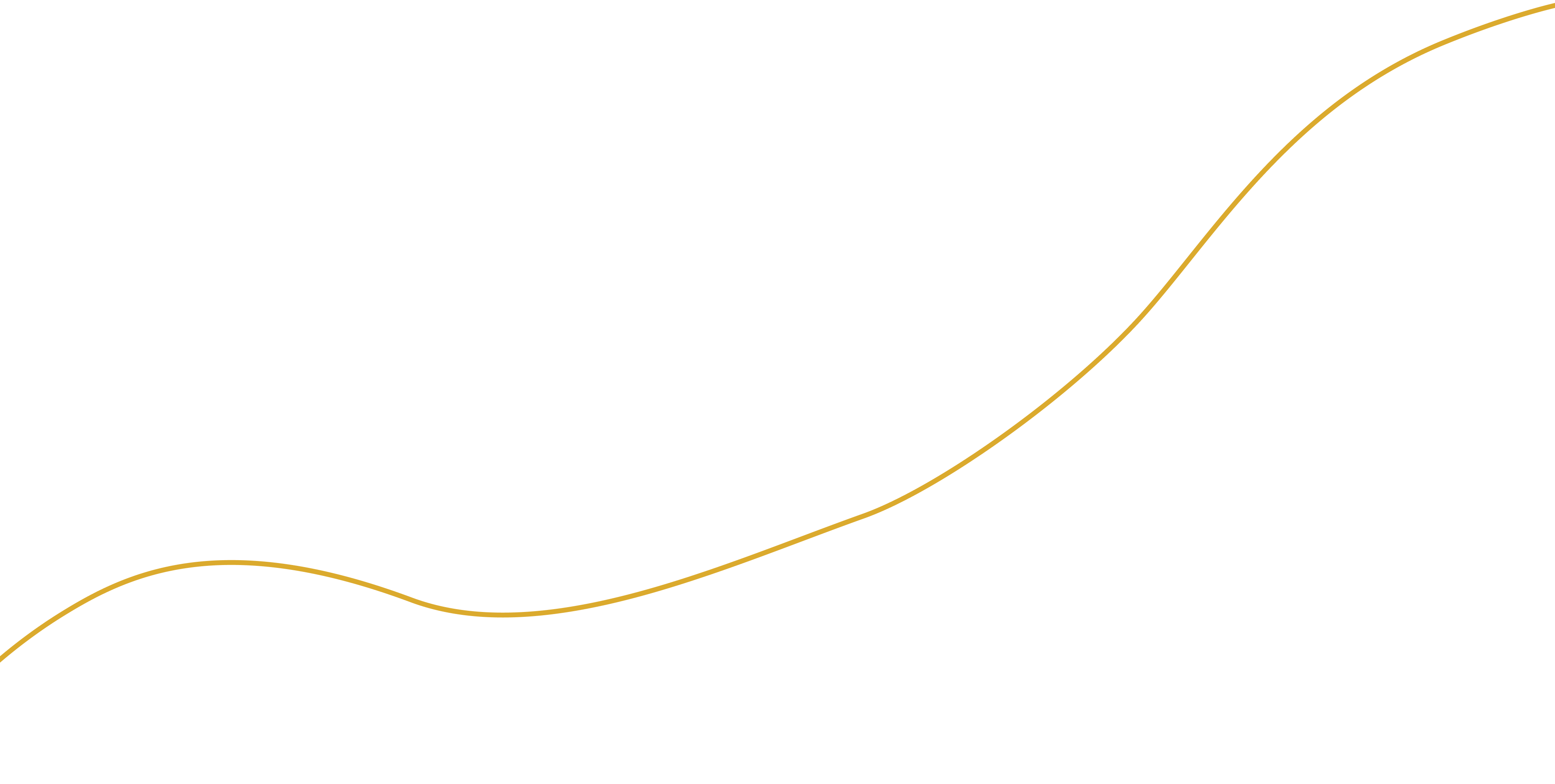 Vector 4 (1) (1)