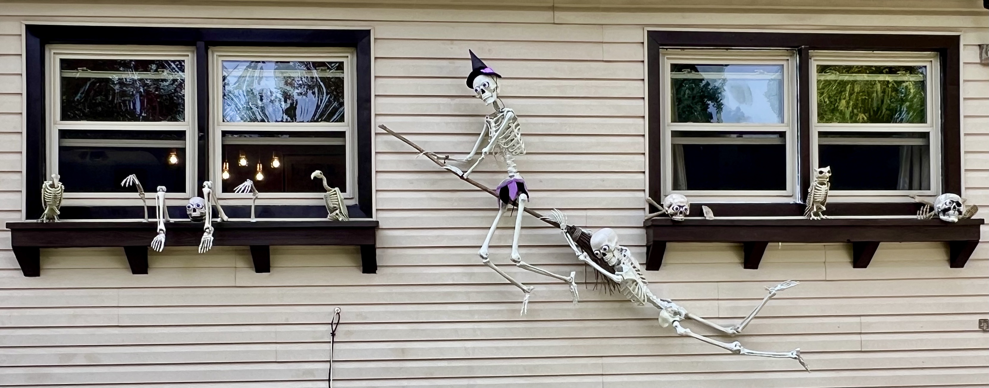 Halloween Skeleton rigged to fly on a witches broom while another is holding on to the back