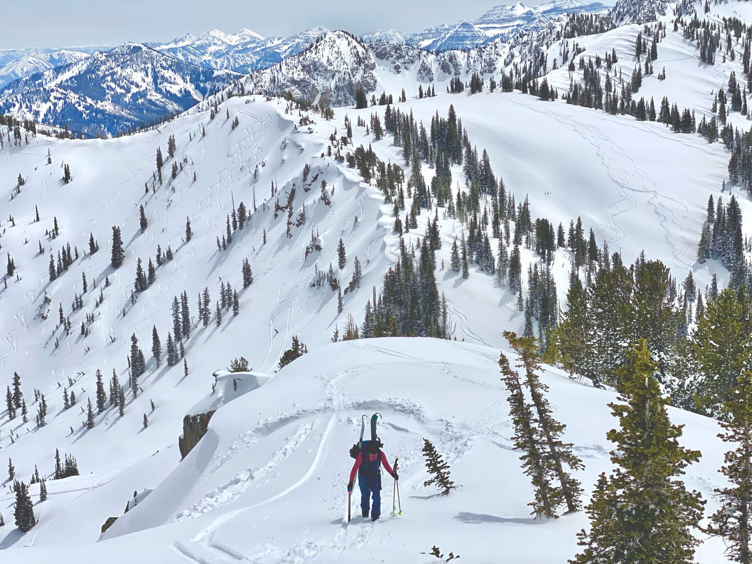 MT. TUSCARORA: SALT LAKE CITY