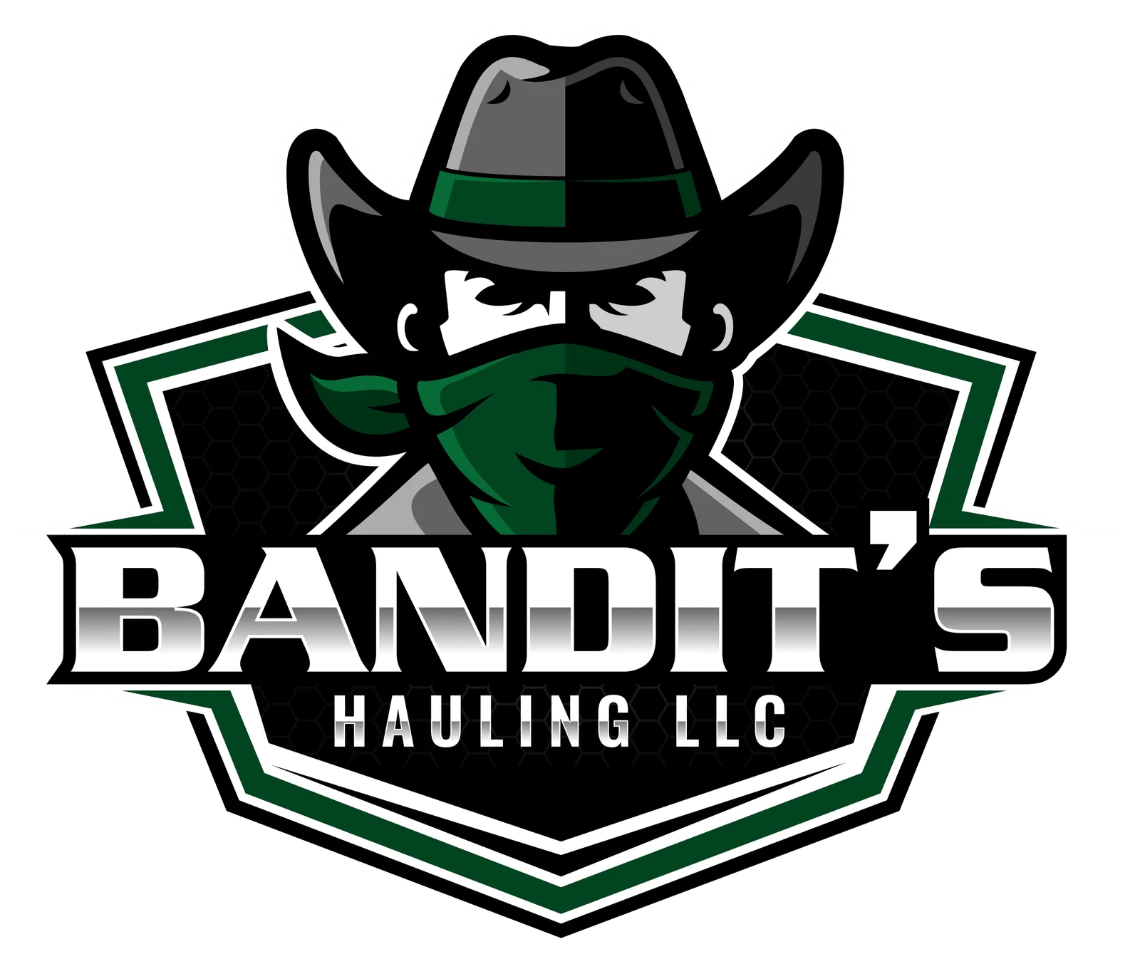 Logo Designer Modesto