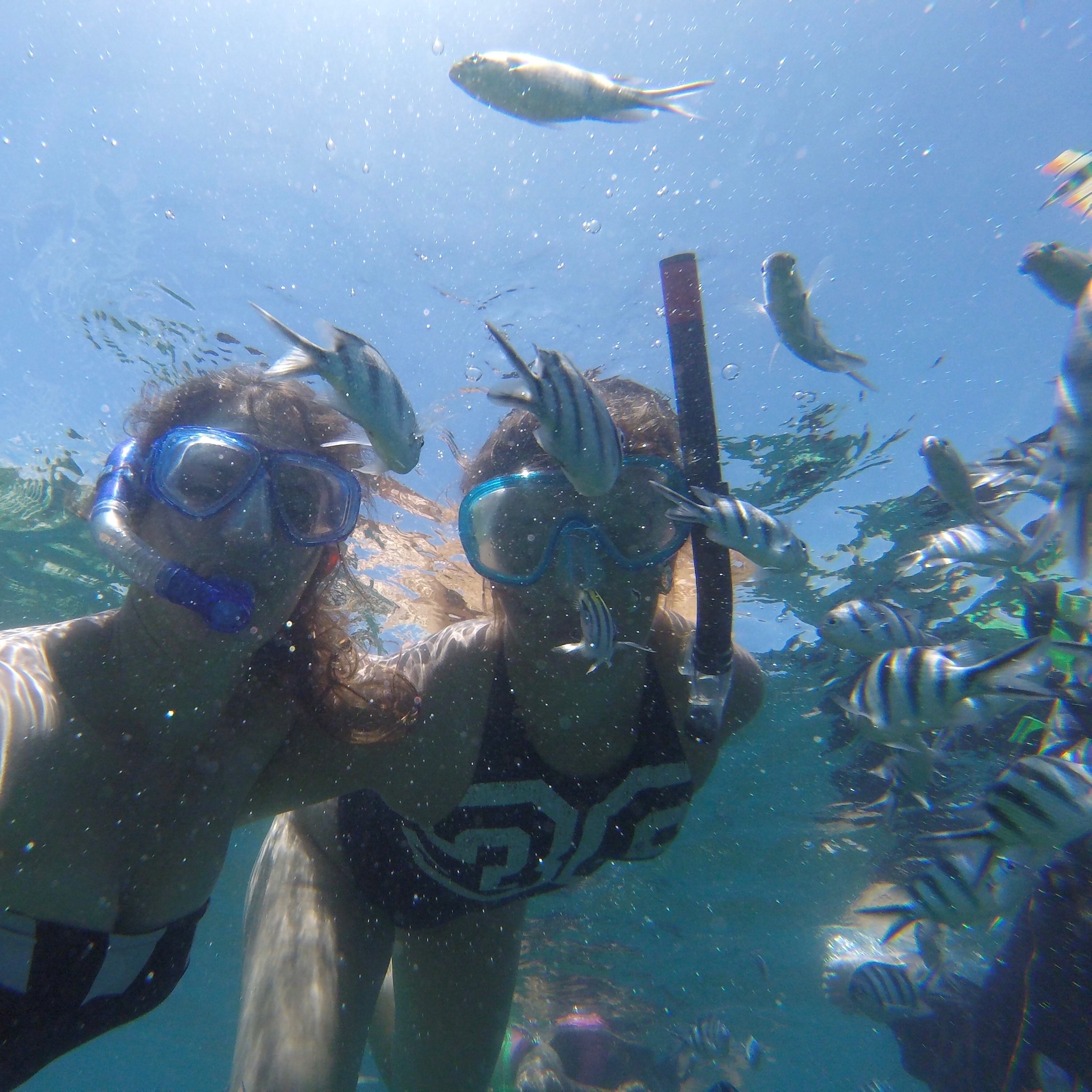 Perhentian Island, 2017