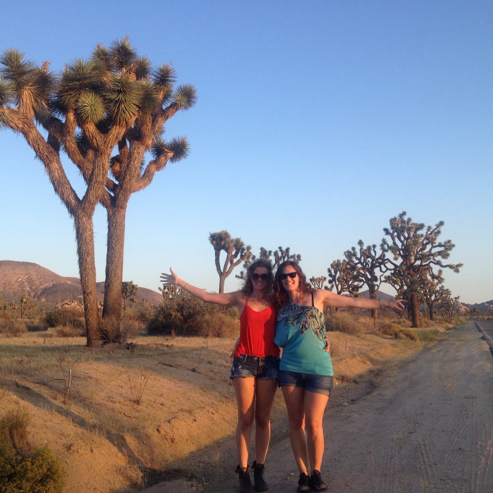 JOSHUA TREE NATIONAL PARK, California, USA #2015. “Le persone non fanno i viaggi, sono i viaggi che fanno le persone”.