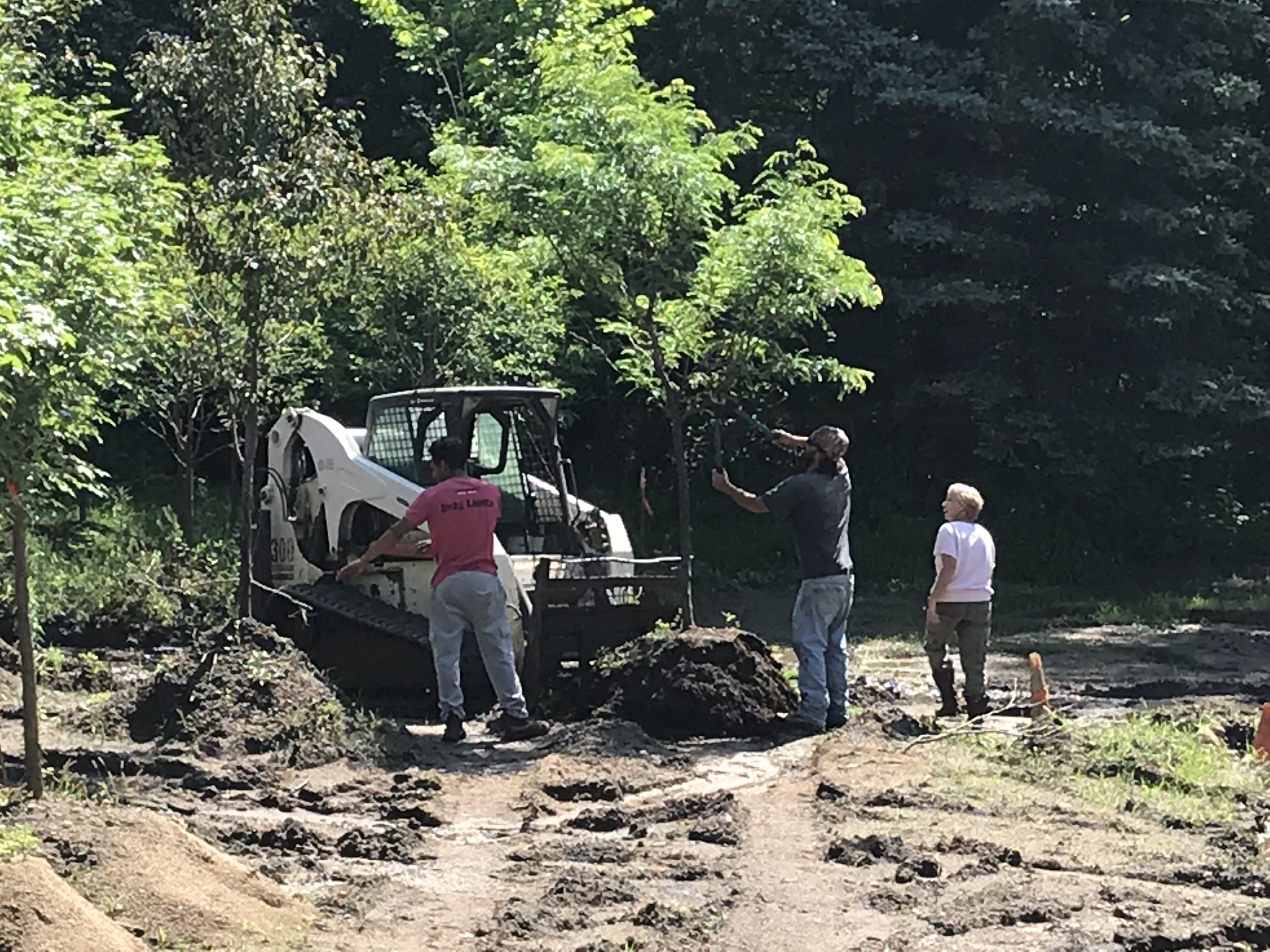 Nursery SPLITROCK LANDSCAPING official website of Splitrock