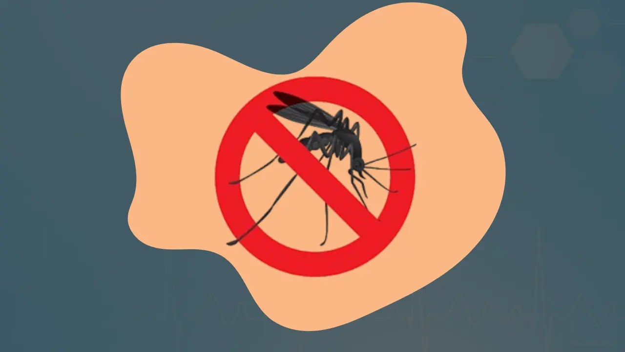 Illustration of a mosquito inside a red prohibition sign, symbolizing mosquito control.