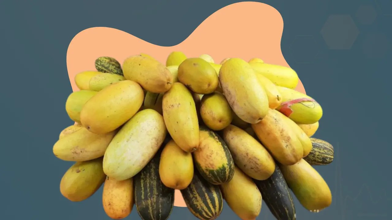 A colorful assortment of yellow and green squash is displayed on a striking blue background, highlighting fresh produce.