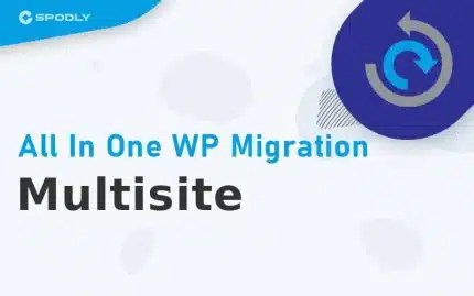 All-In-One-WP-Migration-Multisite