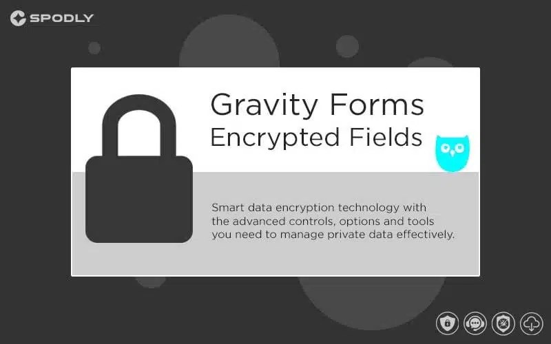 Gravity Forms Encrypted Fields Gravity Forms Encrypted Fields