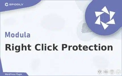 Wordpress Plugin Modula - Right Click Protection