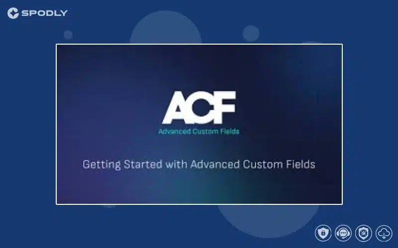 Advanced Custom Fields Extended PRO Advanced Custom Fields Extended PRO