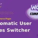 WooCommerce - Automatic User Roles Switcher
