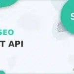 Wordpress Plugin SEO AIOSEO - REST API